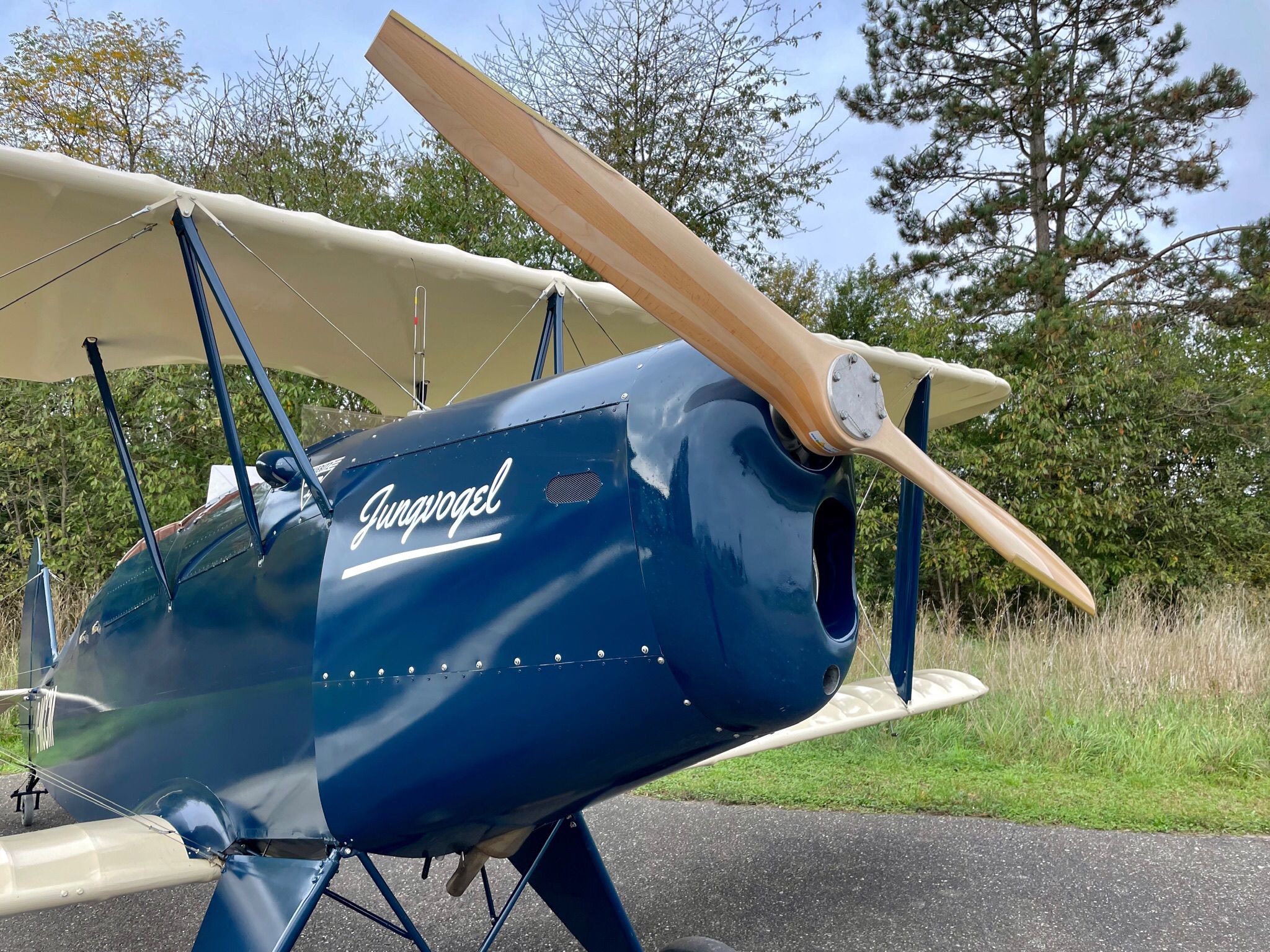 Born Propeller
